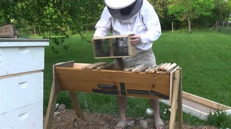 Install Package Bees Into A Top Bar Hive Youtube