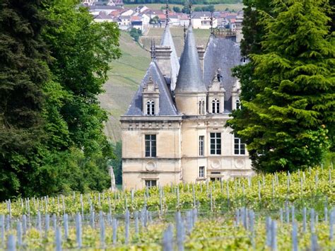 The 9 Best Champagne Tours from Paris for a Perfect Day Trip - Eternal ...