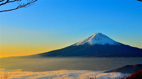 Cherry Blossom Wallpaper High Resolution Mount Fuji If you re looking ...