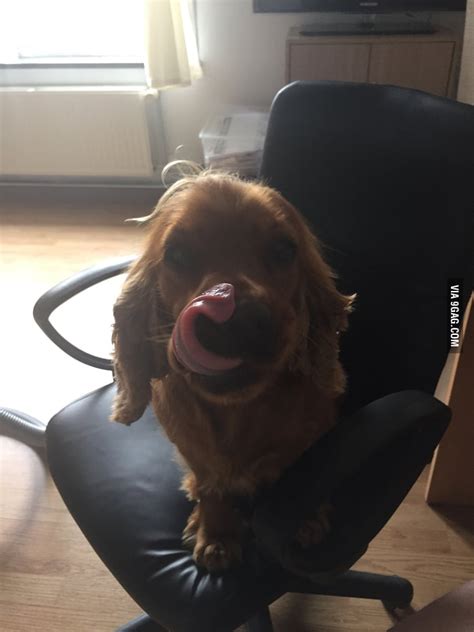 My Hot Ass Ginger Secretary GAG