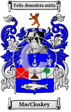 Maccloskey Name Meaning, Family History, Family Crest & Coats of Arms