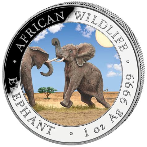 African Wildlife Somalia Elephant Day Coloured Oz Silber