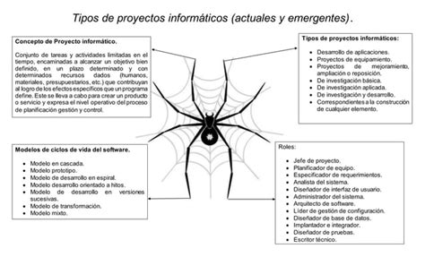 Tipos de proyectos informáticos PPT