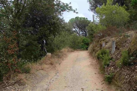 Confirman La Identidad Del Cad Ver Hallado En El Bosque A Os Y Una