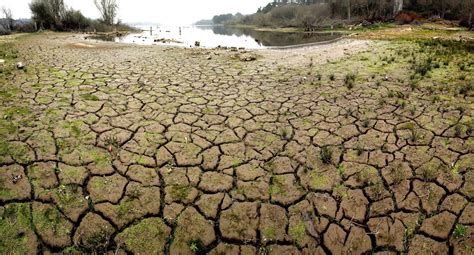 Siete Organizaciones Ecologistas Piden Mayor Planificación Contra Sequías