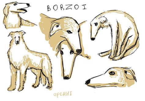 Silly Borzoi Dog Sketch By Apchhhii On Deviantart