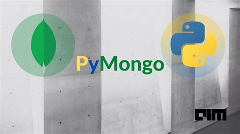 Pymongo A Python Wrapper For Mongodb