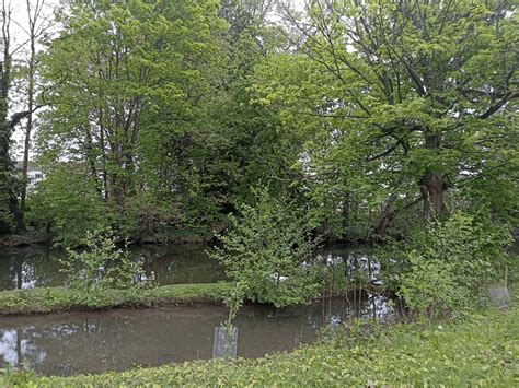 Les Espaces Verts En Entreprise Un Refuge De Biodiversit