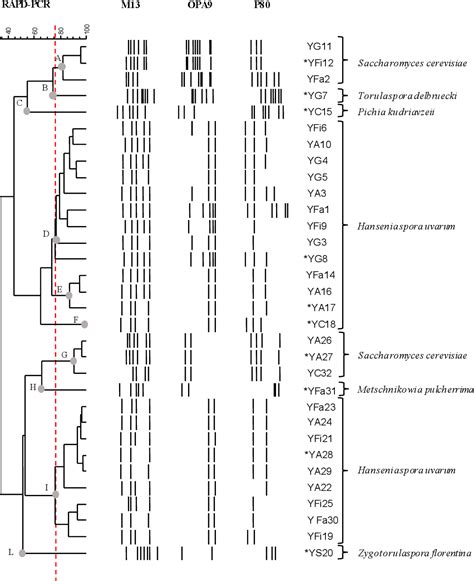 Figure 2 From Selection Of Non Saccharomyces Wine Yeasts For The