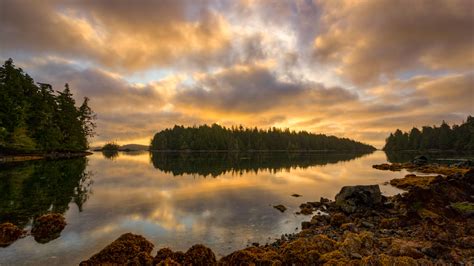 Bing HD Wallpaper Apr 3 2024 Pacific Rim National Park Reserve