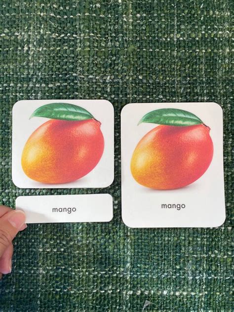 Fruit 3 Part Montessori Language Cards Etsy