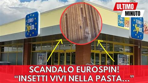 Scandalo Eurospin Insetti Vivi Trovati Nelle Confezioni Chiuse Della