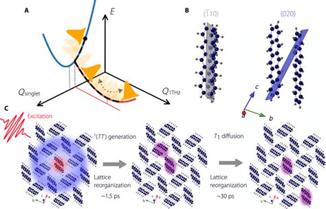 Schematic Illustrations Of Coherent And Incoherent Lattice Dynamics Of