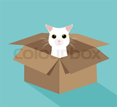 Cute White Cat In The Box Stock Vector Colourbox