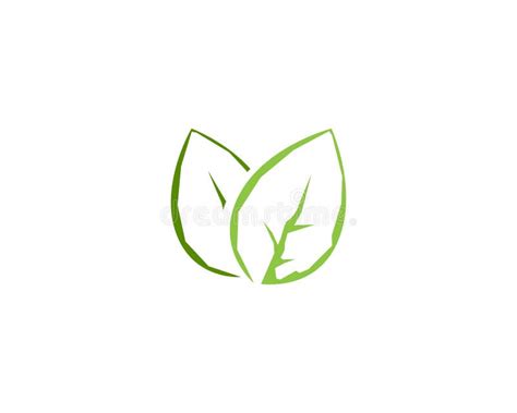 Logos Of Green Leaf Ecology Nature Element Vector Icon Stock Vector Illustration Of Collection