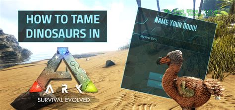 Ark Survival Evolved How To Tame Dinosaurs Nitrado