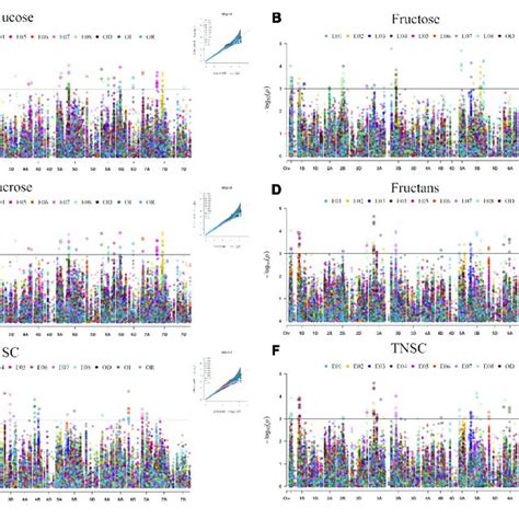 Manhattan And Quantile Quantile Plots Summarizing The Gwas Results Download Scientific