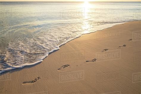 Footprints On Beach Stock Photo Dissolve