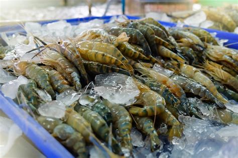 Gamba De Agua Dulce Para Vender En Hielo En El Mercado De Mariscos