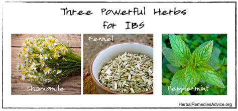 Herbal Remedies for IBS