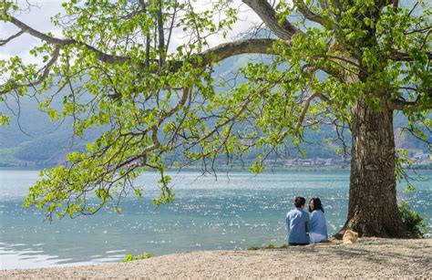 Romantic Couple Sitting Under A Tree Together Stock Photo Image Of