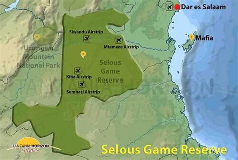 Selous Game Reserve Safaris | Tanzania Horizon Safaris