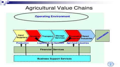 Agricultural Value Chain Stages