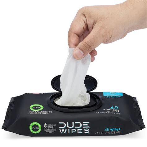 Best Buy: DUDE PRODUCTS DUDE WIPES 48ct Dispenser Pack Flushable Wipes DW-CE