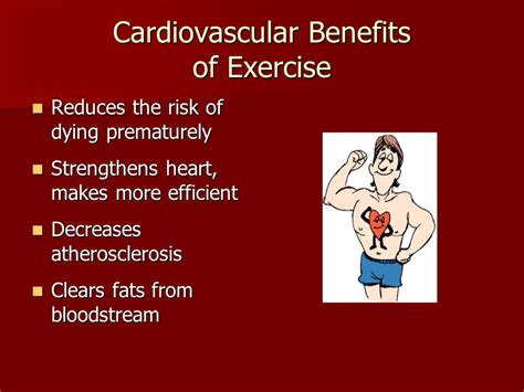 Top 10 Benefits Of Cardiovascular Exercises Cardiovascular Exercise