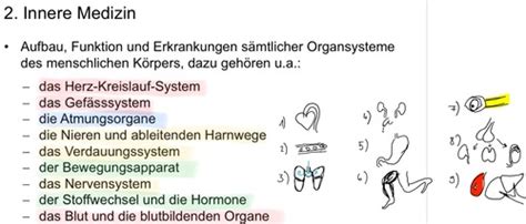 Innere Medizin Vorlesungen Flashcards Quizlet