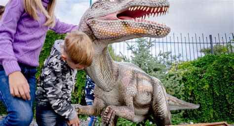 Vakantie Met Kinderen In Eigen Land Ontdek En Geniet Samen Leuke