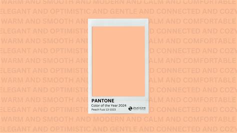 Peach Fuzz The Softness And Versatility Of Pantone S Color Of The Year