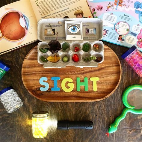 Five Senses Unit Sense Of Sight Magnifying Glass Water Beads And