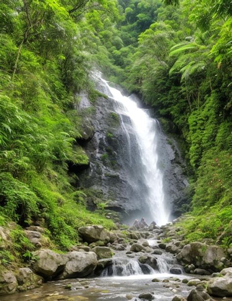 Cascada En El Bosque Tropical Foto Premium