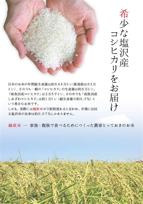 【楽天市場】【新米 令和4年度産】 魚沼産 こしひかり コシヒカリ 「武右衛門」 無洗米10kg 特a獲得地区 新潟産 新潟県産 南魚沼産