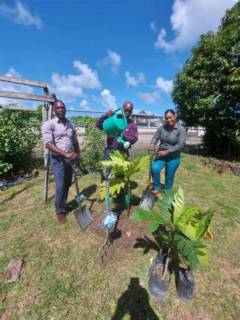 Tobago Breadfruit Initiative Caravan Rolls In To Buccoo Tobago