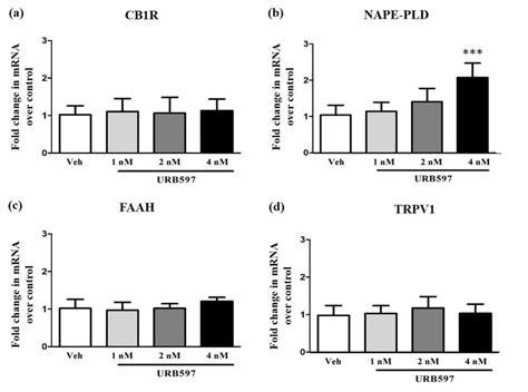 Changes In Mrna Levels Of Faah Signaling Components Following Urb