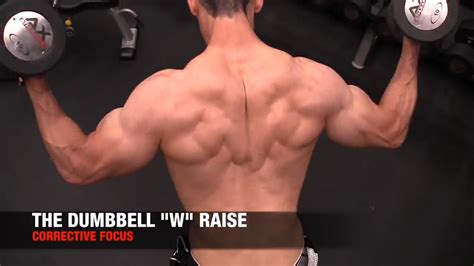 Best Dumbbell Back Exercises Athlean X