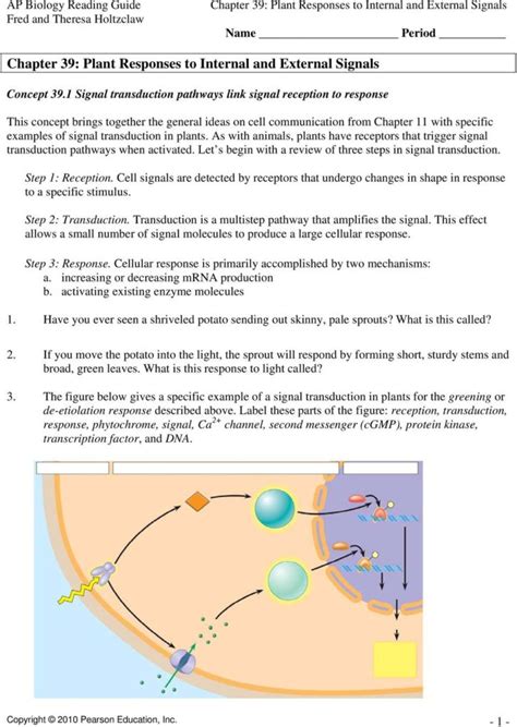 Signal Transduction Pathways Worksheet Excelguider