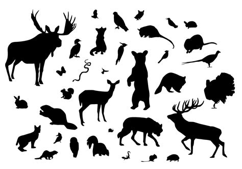 Forest Animal Silhouettes 93534 Vector Art at Vecteezy