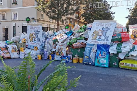 Valencia Organiza Esta Semana Una Recogida De Alimentos Solidaria Para