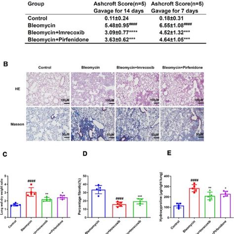 Imrecoxib Inhibits Bleomycin Induced Pulmonary Fibrosis In Mice A