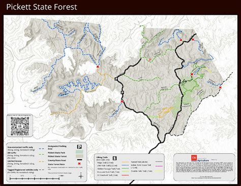 Pickett State Forest