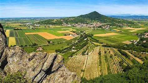 Il Parco Regionale Colli Euganei Diventa Sostenitore Del Biodistretto