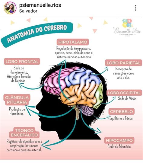 Pin De Joseane Rodrigues Em Estudos Meus Em Neurociencia E