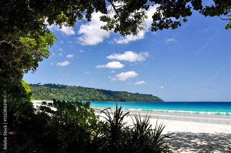 Stunning View Of Radhanagar Beach On Havelock Island With Trees And