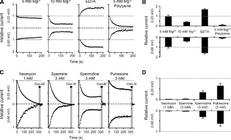 Symmetrical Regulation Of Kcnq Current By Intracellular Mg And