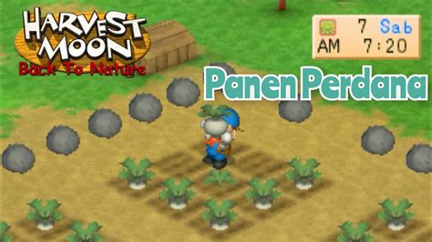 Harvest Moon Btn Panen Perdana First Harvest[gameplay] Teknik Tokusatsu Youtube