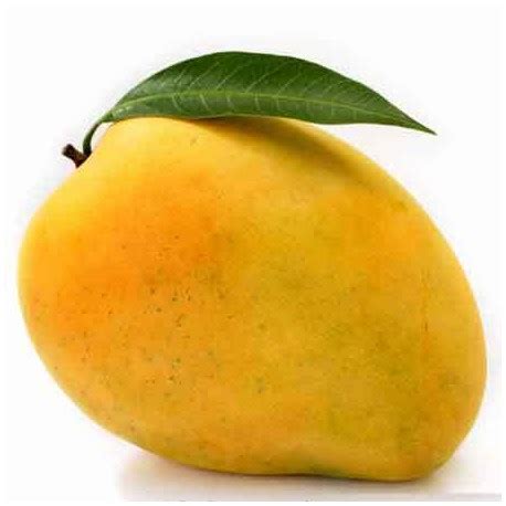 Fresh Mango Jawari - 3 KG Box - MangoPoint :: Superstore