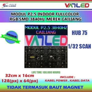 MODUL P10 1 2 SCAN RGB SMD FULL COLOR OUTDOOR VANLED NET